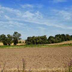 Ontheroad2013007