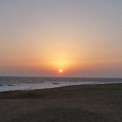 MarsaAlam2010010